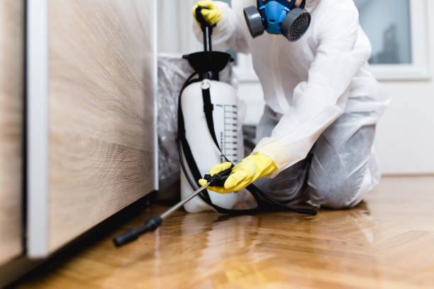 Best Best Pest Control Companies  in Cypress, CA