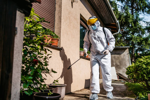 Best Best Pest Control Companies  in Cypress, CA