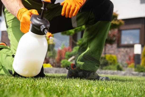 Best Pest Control Near Me  in Cypress, CA