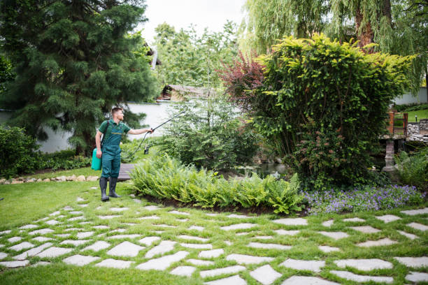 Best Bird Control  in Cypress, CA