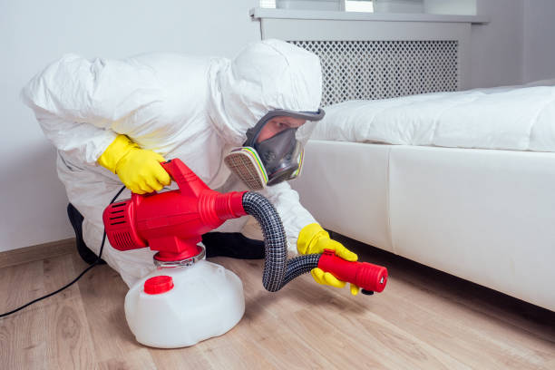 Professional Pest Control in Cypress, CA