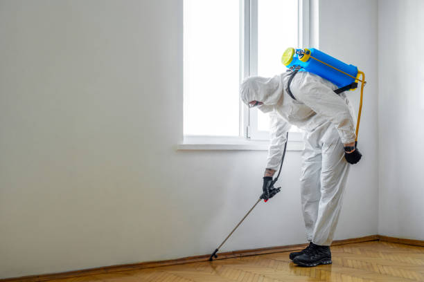 Best Wildlife Control Services  in Cypress, CA